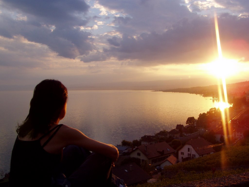 Tramonto fra i vitigni di Villette by orie