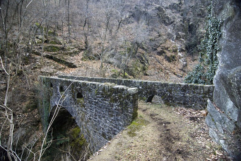 Ponte velina by wildfrog