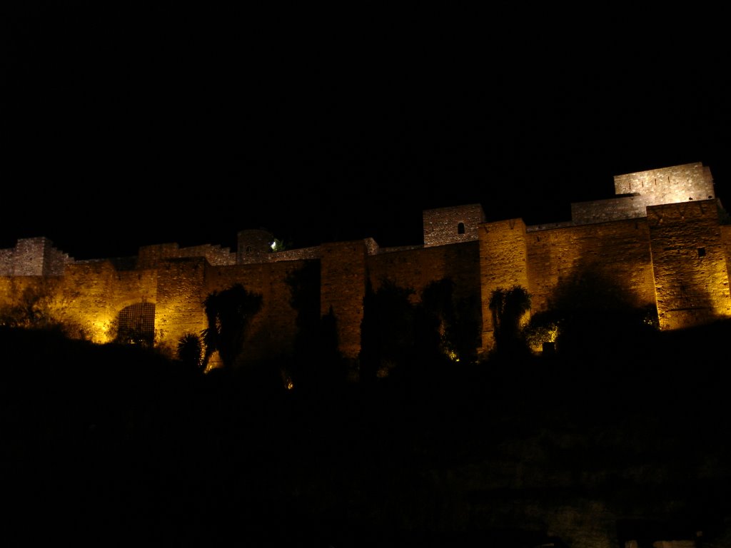 Alcazaba de noche1 by Nabil El Khamal