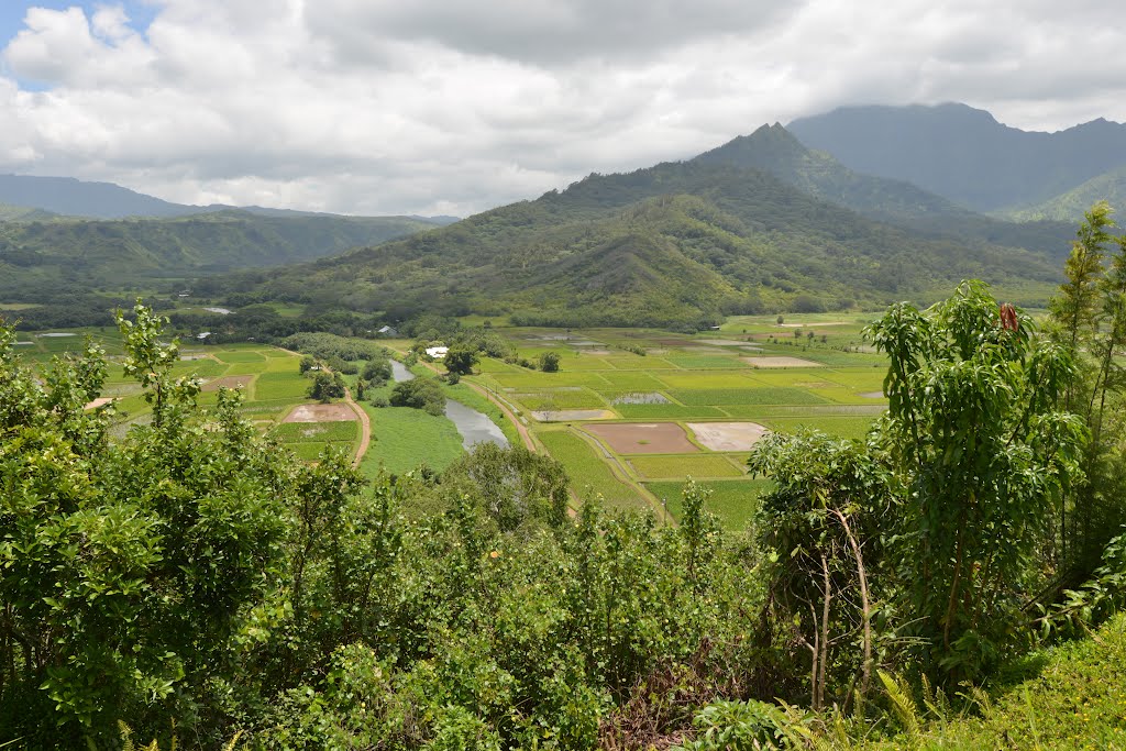 Hanalei Lookout 漢那磊 眺望點 ...... (I am not sure the position where I stood) by ElaineChow