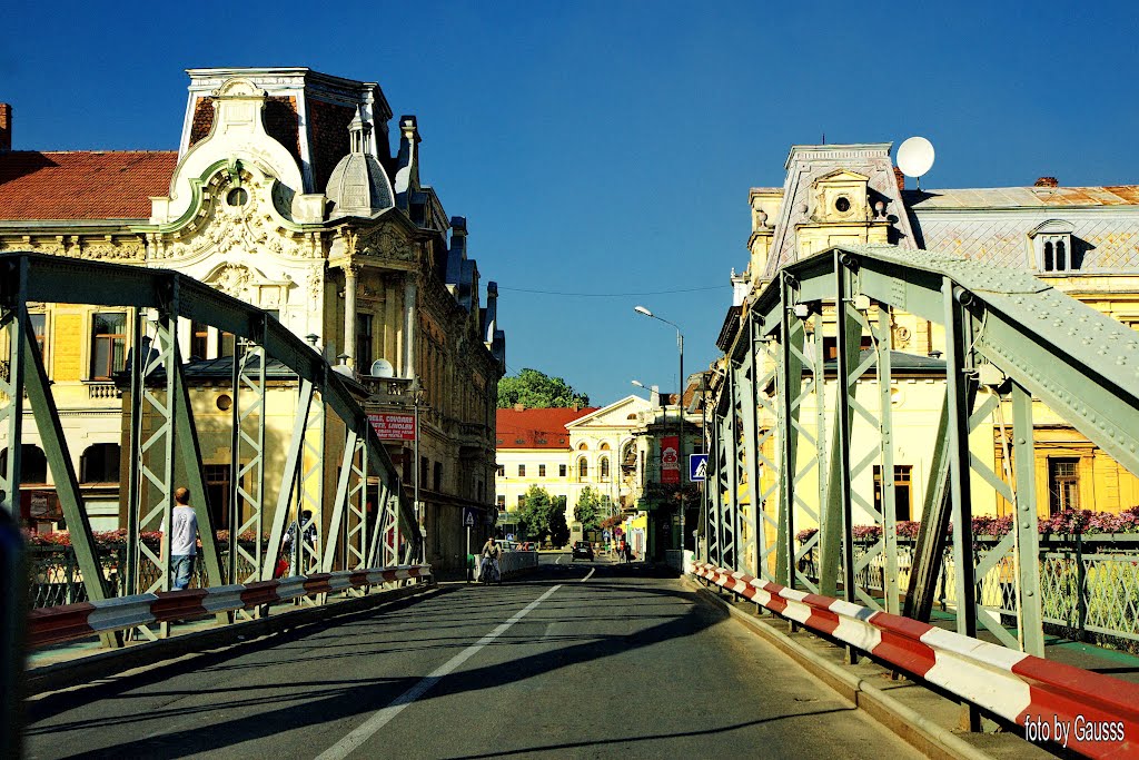 Lugoj (Lugos), Romania, Transylvania (Erdély, trianoni szerződésig Krassó-Szörény Vármegye székhelye) - A vashíd, a város jelképe. A Temes vashídja, a város jelképe, 1902-ben készült a resicai vasgyárban. A híd egy korábbi fahíd helyén épült meg. by Gausss