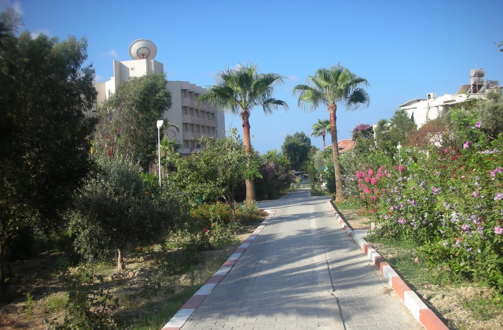 Sitelko, Sahile İnen Yol by Yasin TEKİN