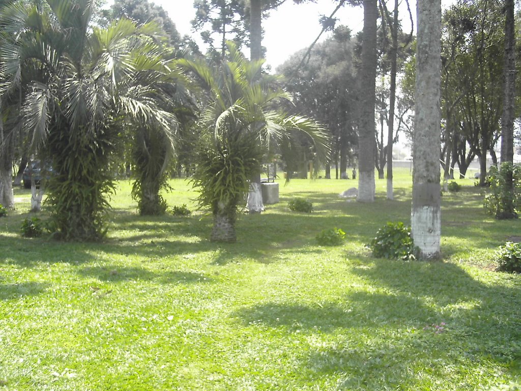 Planta Bosque Centenario, Piraquara - PR, Brazil by Alexandre Kuchenny