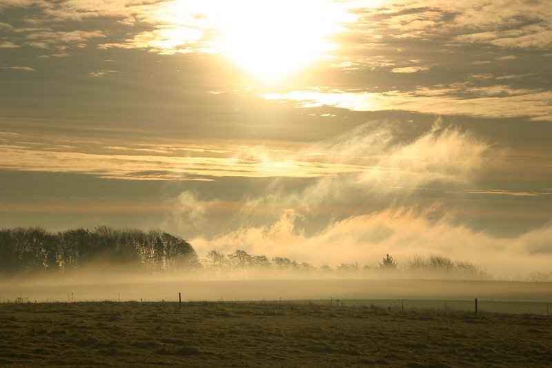 Foggy Morning Gl. Laven by Per Bjarne Pedersen