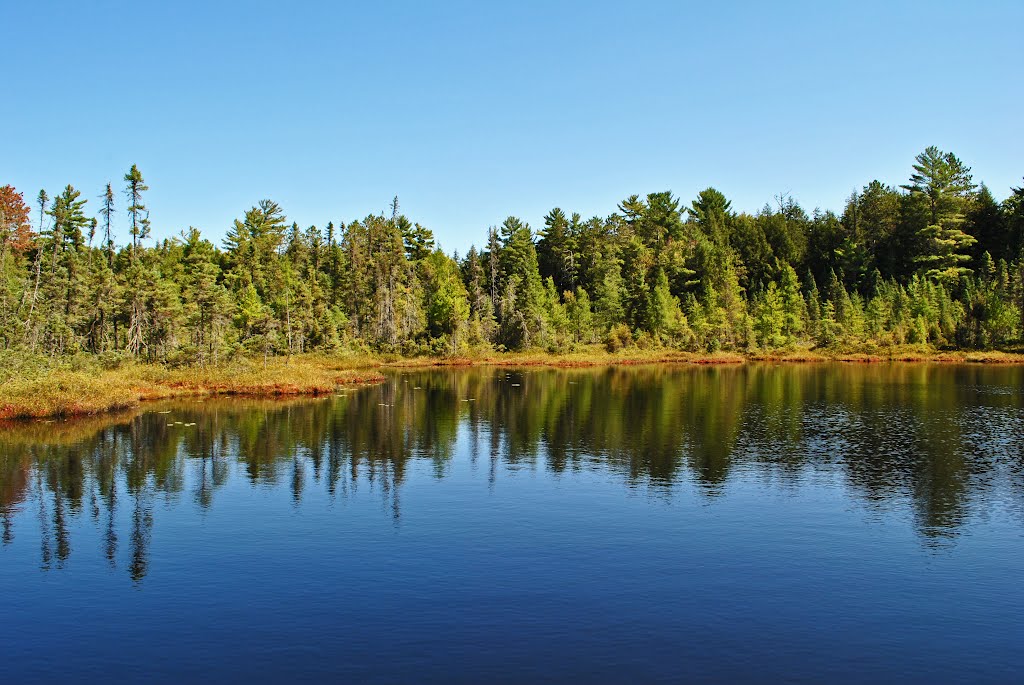 Rat Lake Swamp & Popple River Headwaters State Natural Area by Aaron Carlson