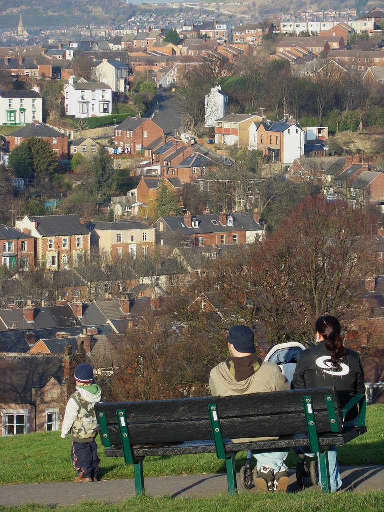 Heeley/Lowfield from Meersbrook Park, Sheffield S8/S2 by sixxsix