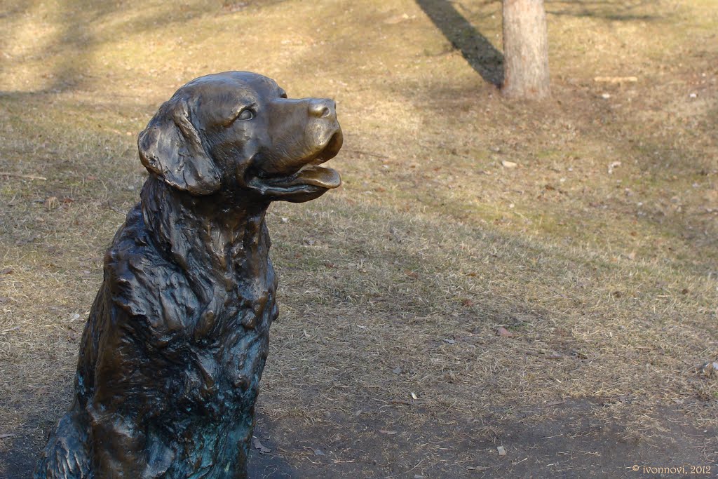 "Canis felix" - Happy Dog / Szczęśliwy Psiak / سگ خوشبخت by Ivonna Nowicka