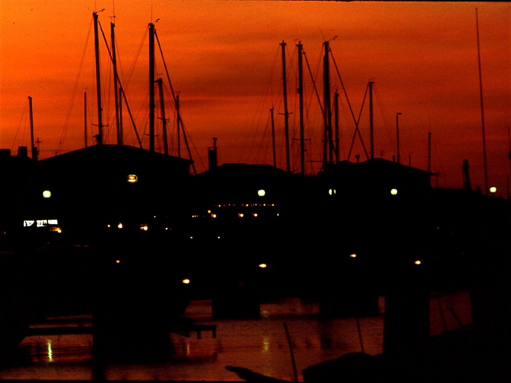 Saintes Maries de la Mer by LORANTO