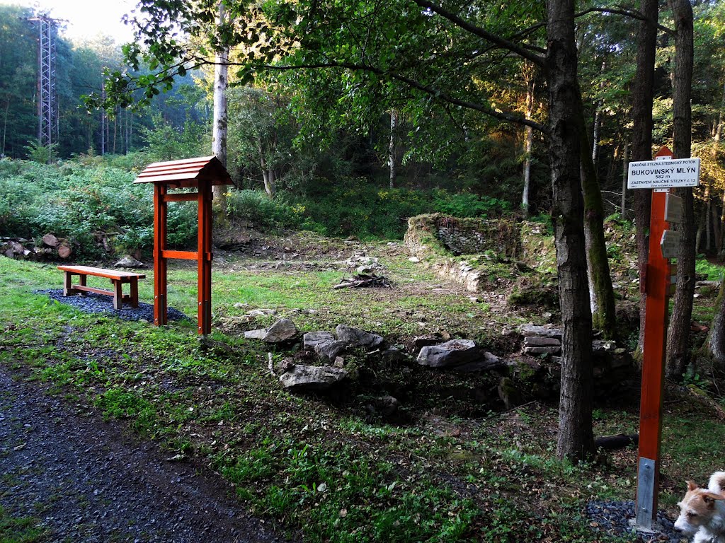 Bukovinský mlýn - 12.8.2012 by Robin - psí turista