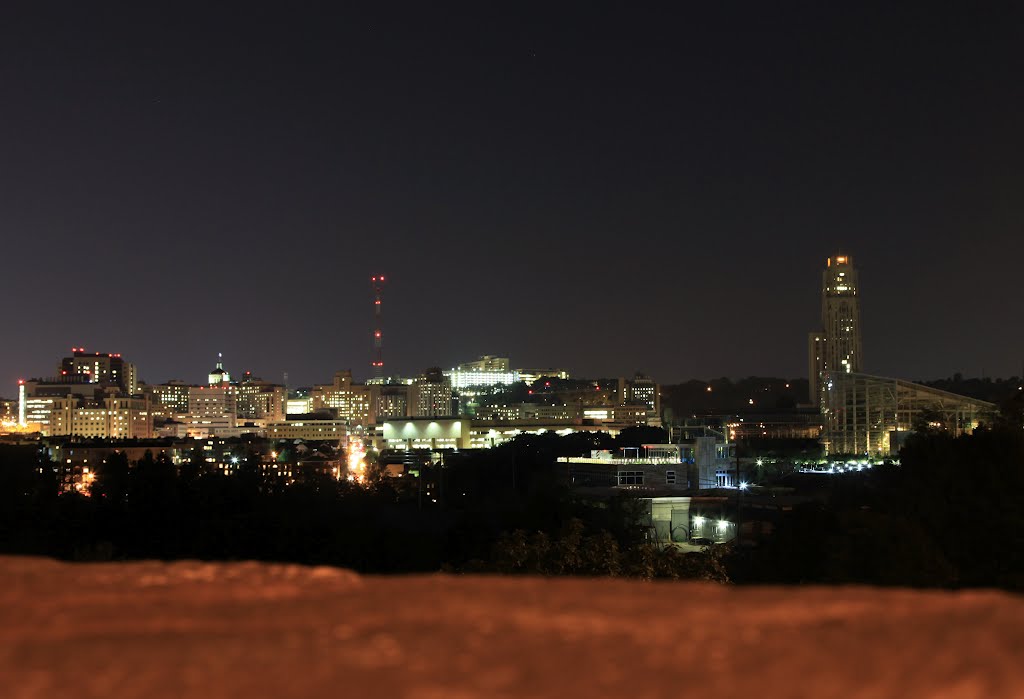 Night of pittsburgh in schenley park by jingchensun