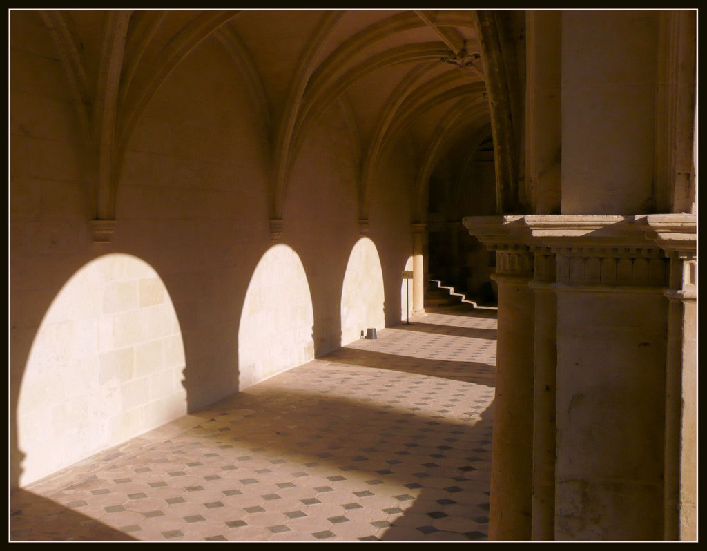 Abbaye de Fontevraud, 12 février 2008 by Pom-Panoramio? YES !