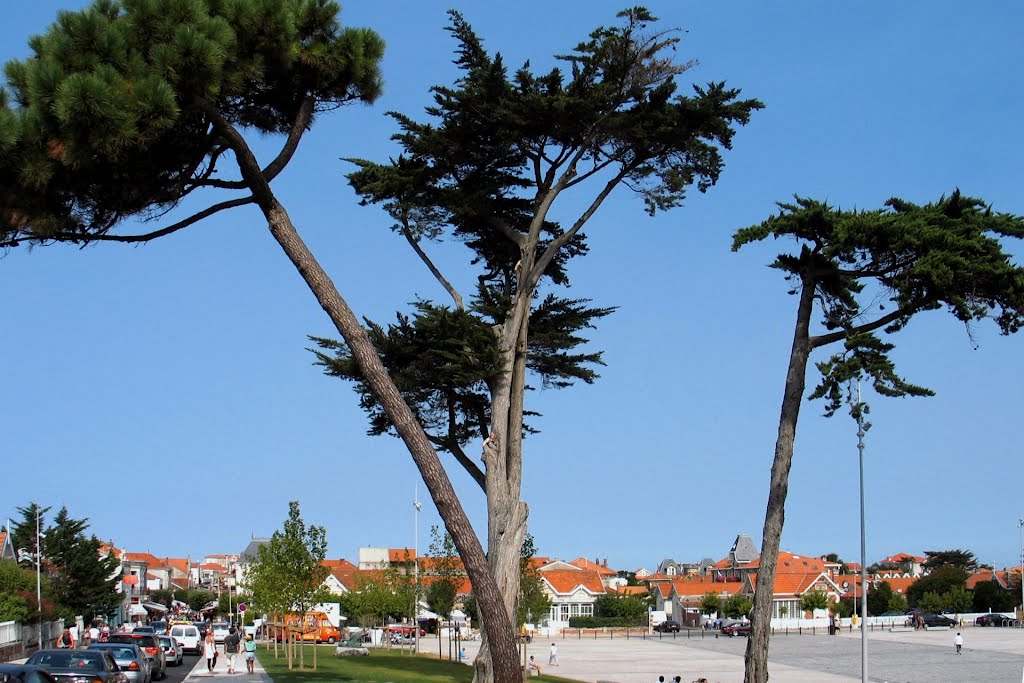 Soulac-sur-Mer ●(300°) by © Roland