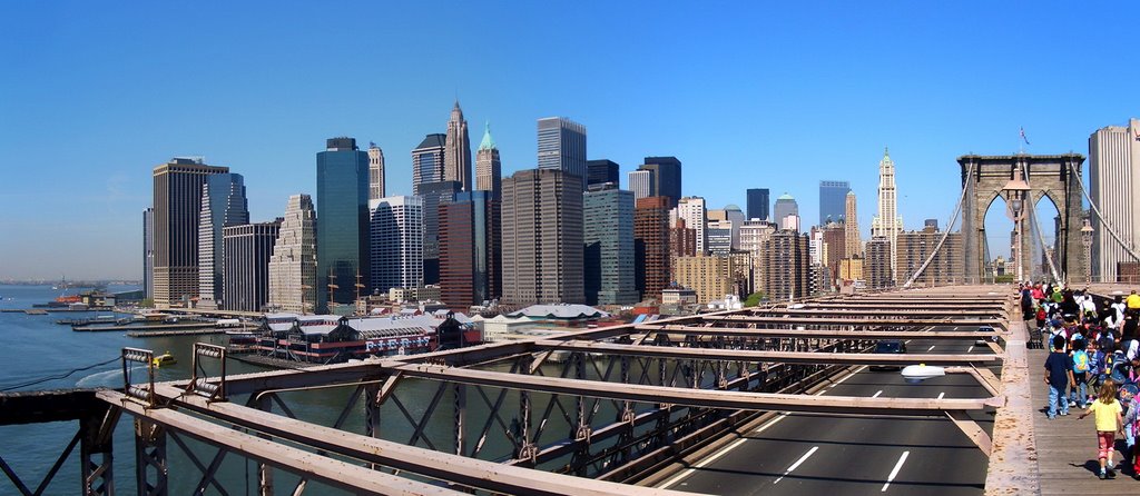 View from Brooklyn Bridge by marco credaro