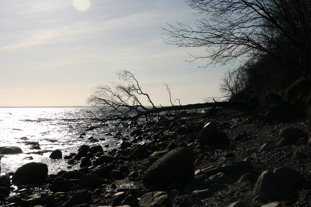 Naturnahe Strand südlich vom Fischerdorf Vitt by Stefan Zinkler