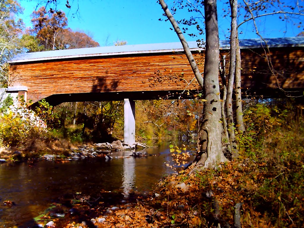 46-86-01 MEEM'S BOTTOM - 203 FT BURR - SHENANDOAH CO, VA by ophiuchus