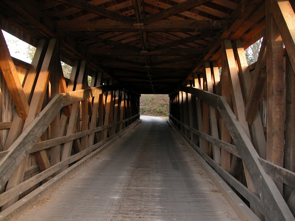 48-18-01 ODAVILLE (SARVIS FORK) - 102 FT LONG & ARCH - JACKSON CO, WV by ophiuchus