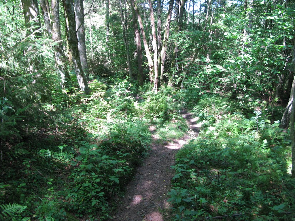 Sandsjöbackaleden trail northeast of Billdal, Västra Götaland, 2012 by Biketommy