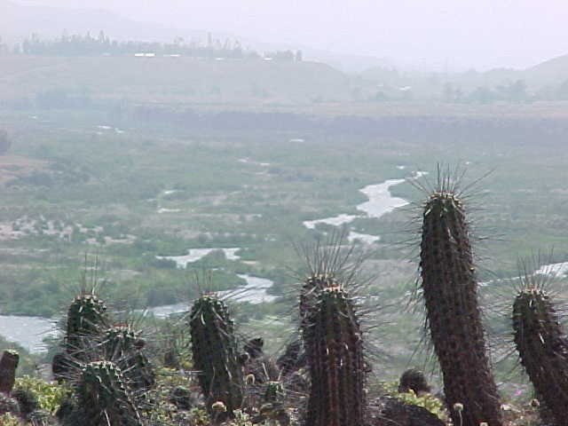 Valle del Huasco Tatara by Rene Ossandon Pizarro