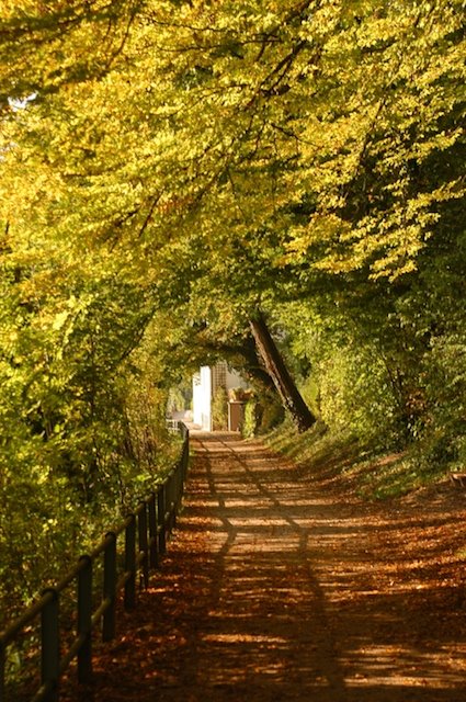 Waldshut by Marco Orbassano