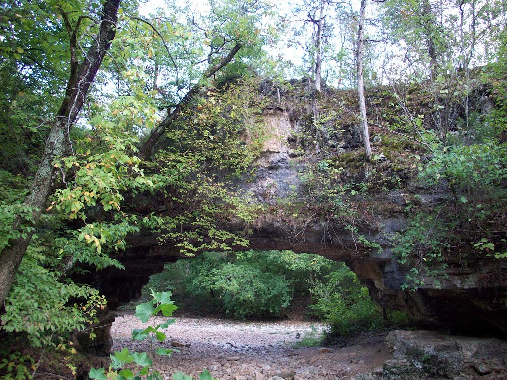 Clifty Creek Natural Bridge by Charles Wieland