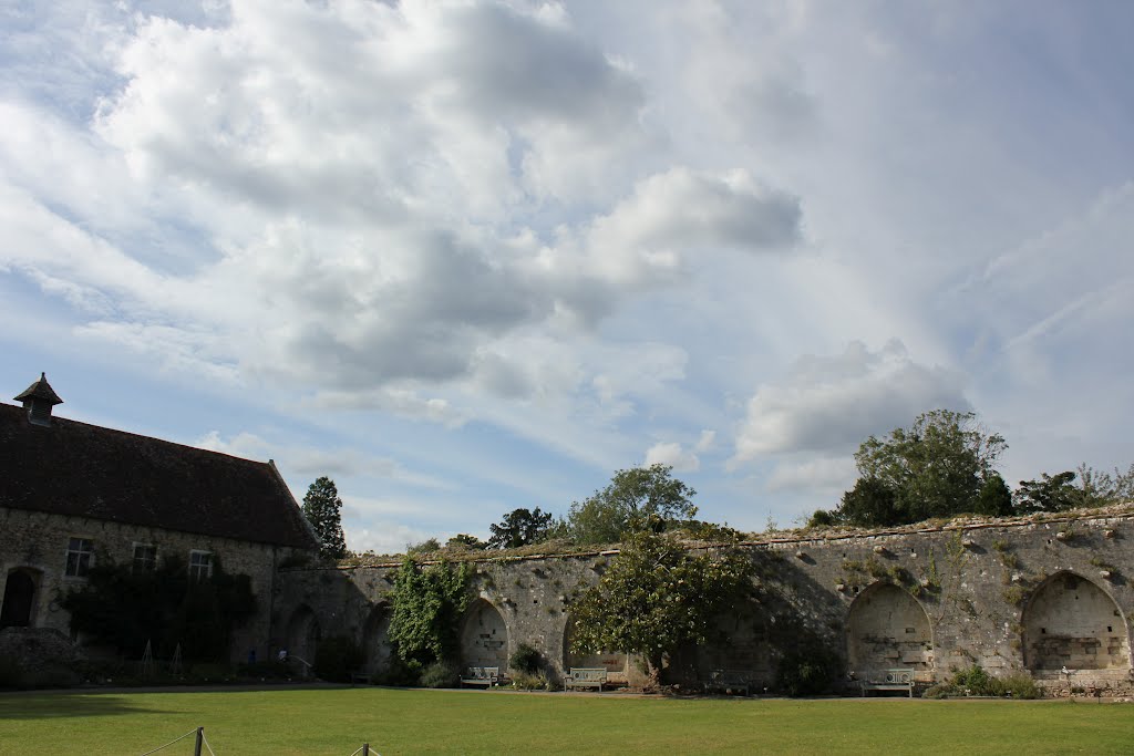 Abbey ruins by panda273