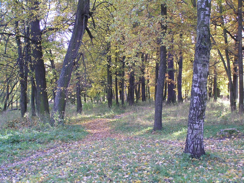 Орловский парк (Orlovsky park) by Vladimir Batarin