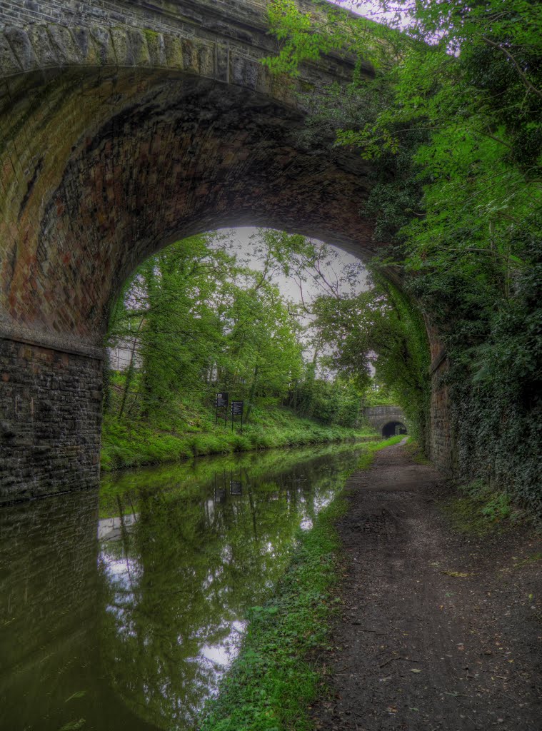 Peak Forest Canal by Rae Leeson