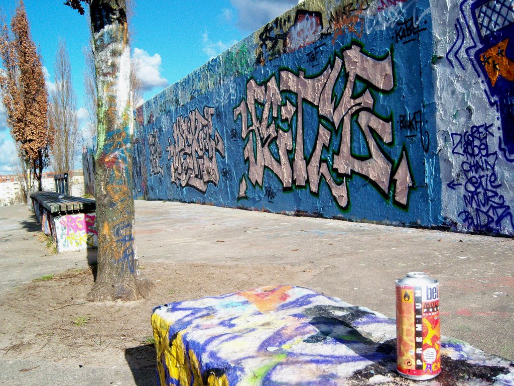 Mauerpark - wAll of fAme by G.Elser