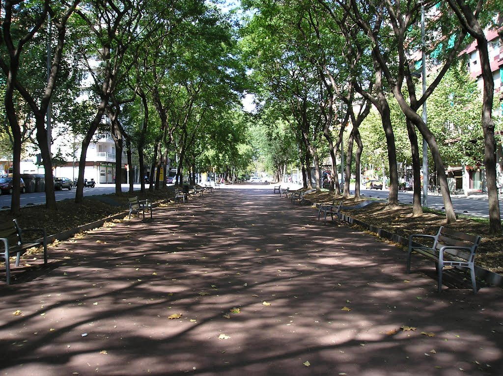 Shadows on the promenade by Miguel Bortfeldt