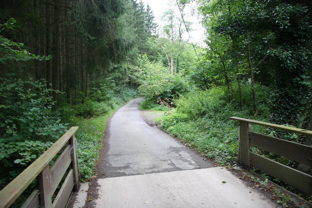 Von Buchholz nach Brodenbach durch die Ehrbachklamm by helicop