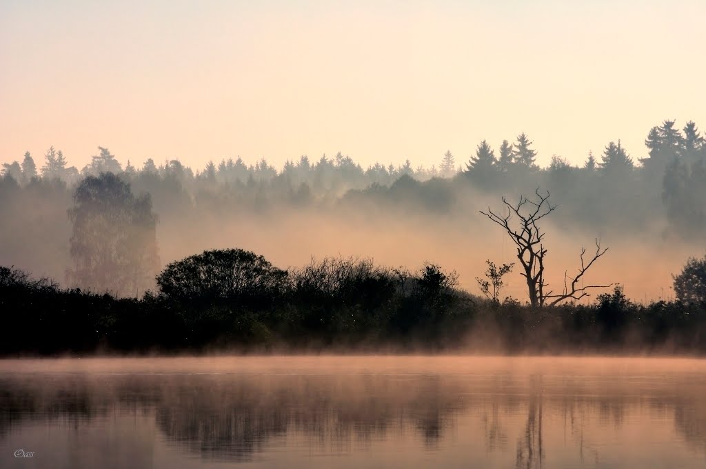 Mlhavé ráno, Pivovarský rybník, Rumburk by Ondra Sýkora