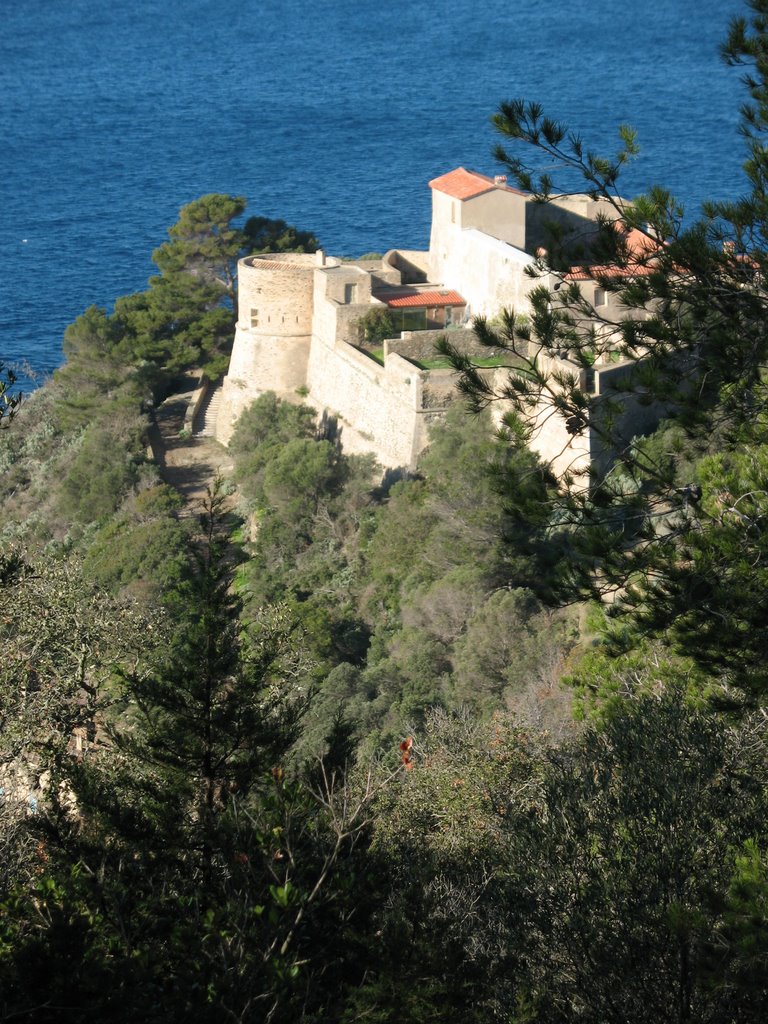 le Fort de Port-Cros by François PETIT