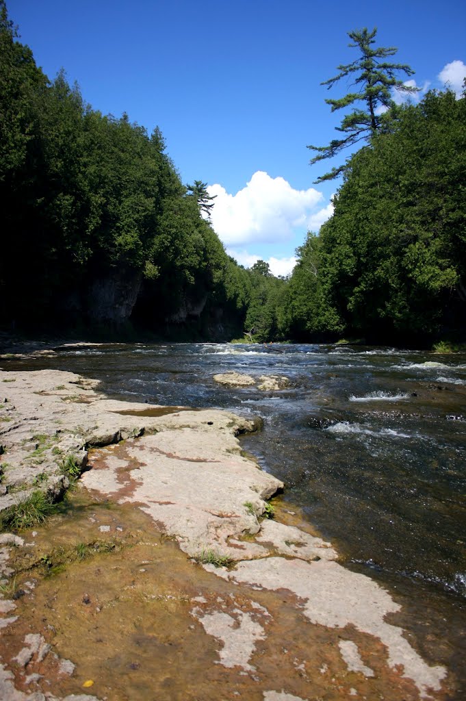 Elora Gorge by Patty Arsenault