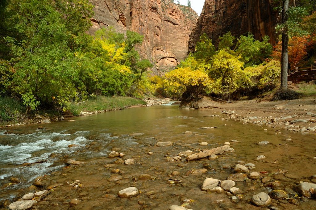 Virgin River, Zion National Park by Don J Schulte