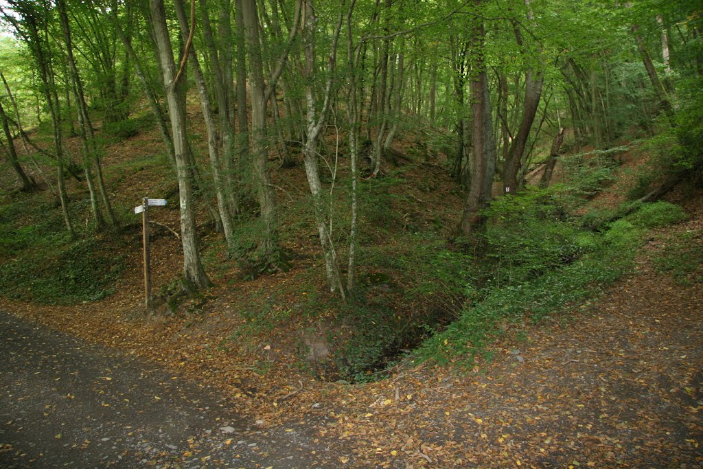 Von Buchholz nach Brodenbach durch die Ehrbachklamm by helicop