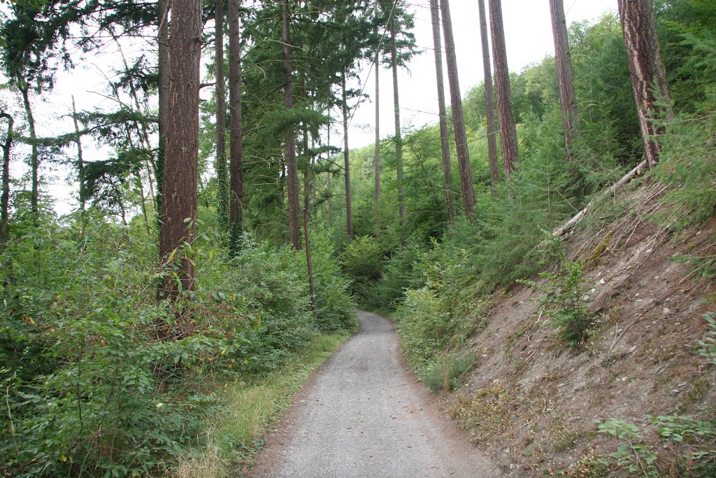 Von Buchholz nach Brodenbach durch die Ehrbachklamm by helicop