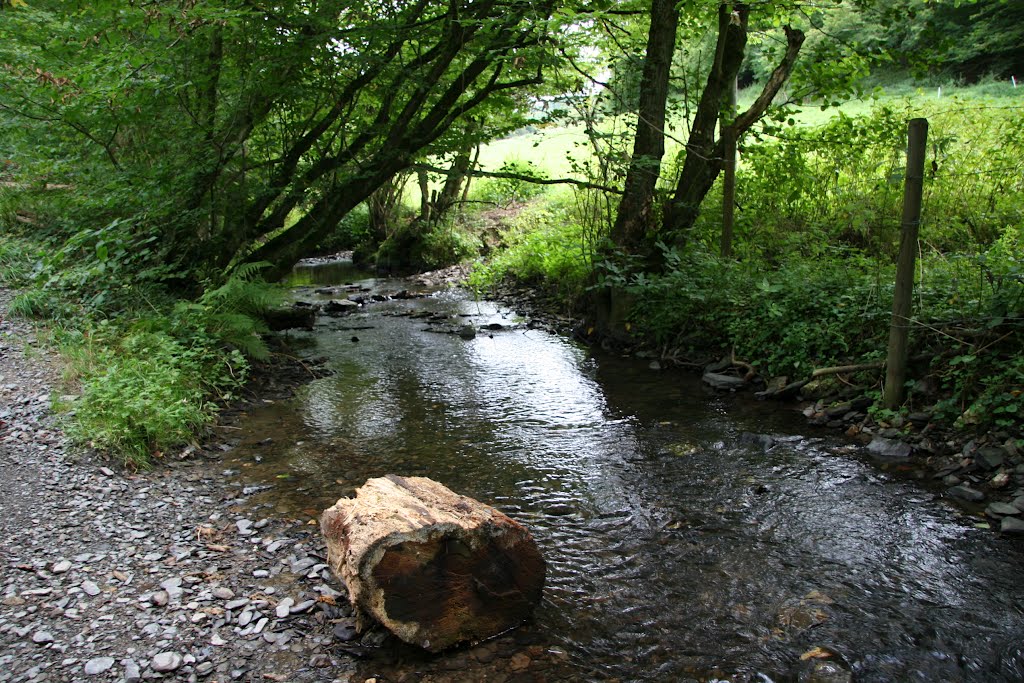 Von Buchholz nach Brodenbach durch die Ehrbachklamm by helicop