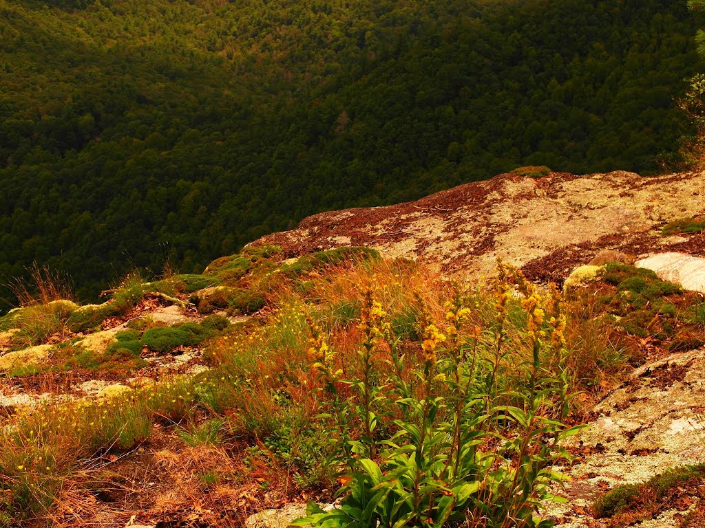 Whiteside Mountain by samfeltus