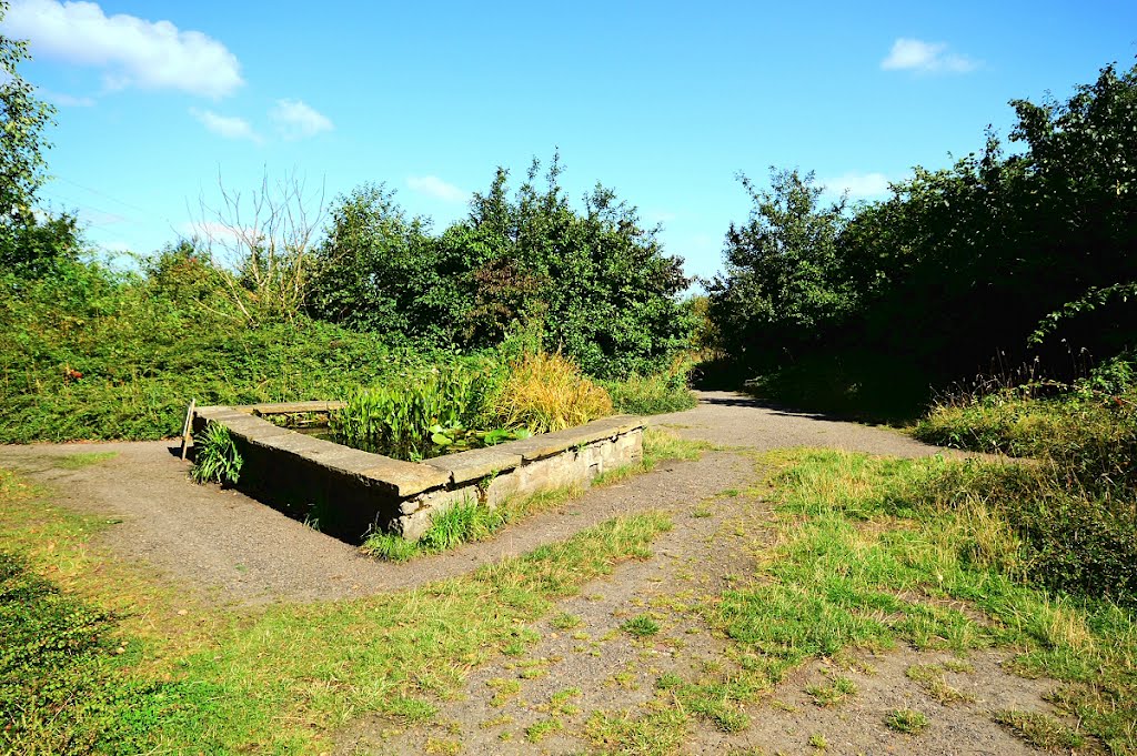 Raised pond by David Humphreys