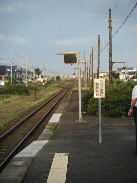 大楽毛駅 by とんつー