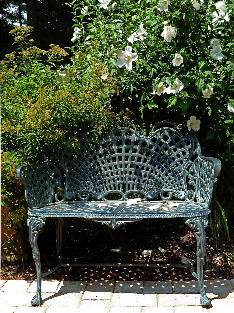 Bench in the shade by eva lewitus