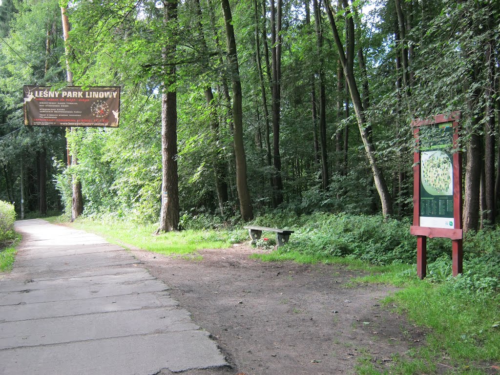 (PL) Polska / Warmia - Las Miejski w Olsztynie / The City Forest in Olsztyn (28.VIII.2012) by Pertus-Markus