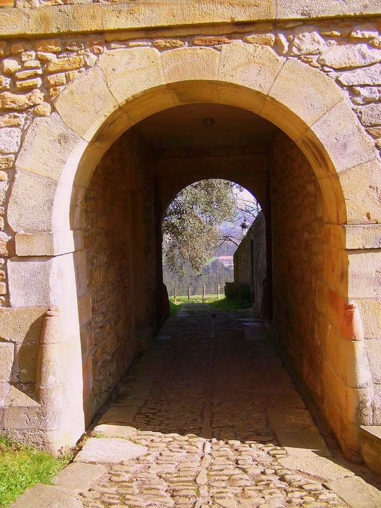 CAMINO DE SANTIAGO (ZIORTZA-BOLIBAR ) by Carlos Ramos De  Los Mozos