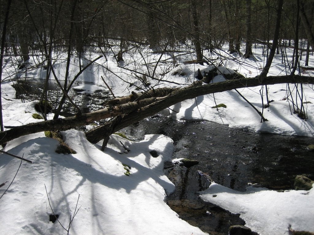 Willowdale Stream by nsmick