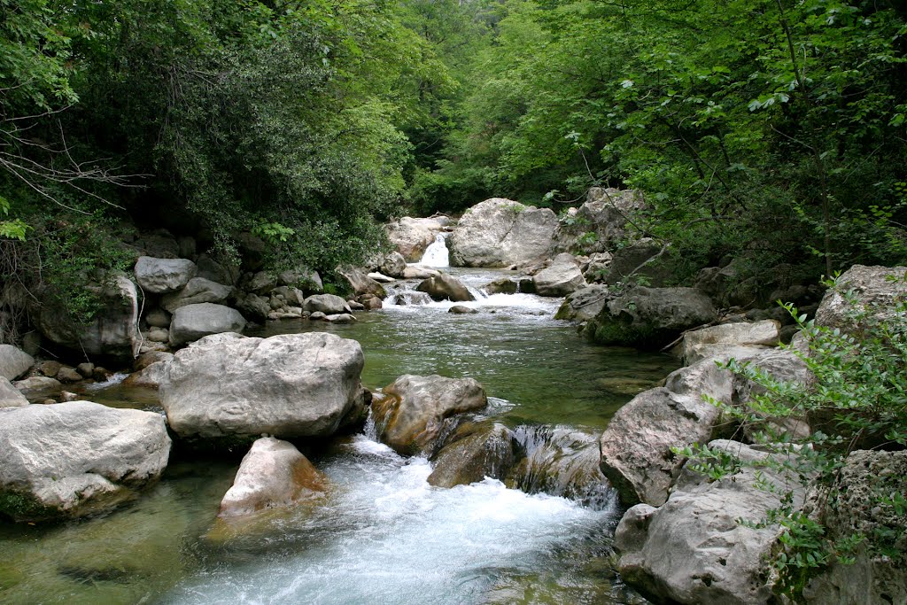 Vallée du Loup 2 by jacro