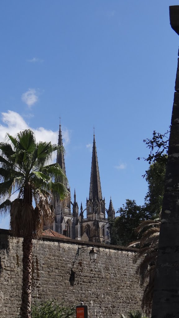 Rempart et cathédrale Sainte-Marie de Bayonne by Serge Ottaviani