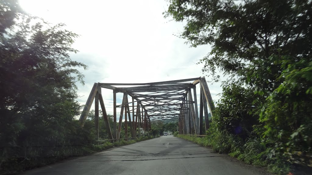 Puente del Rio Carrizal.-Estado Guárico. by Ernesto Lorenzo