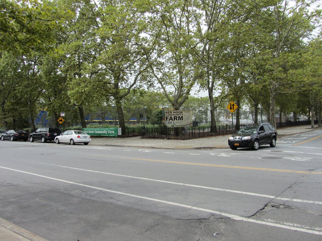 Red Hook Community Farms by Adam Elmquist