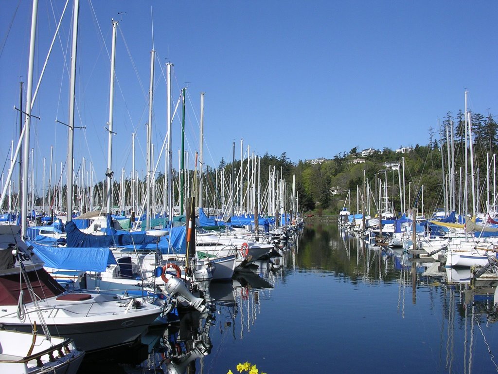 Westport Marina by lizzylady