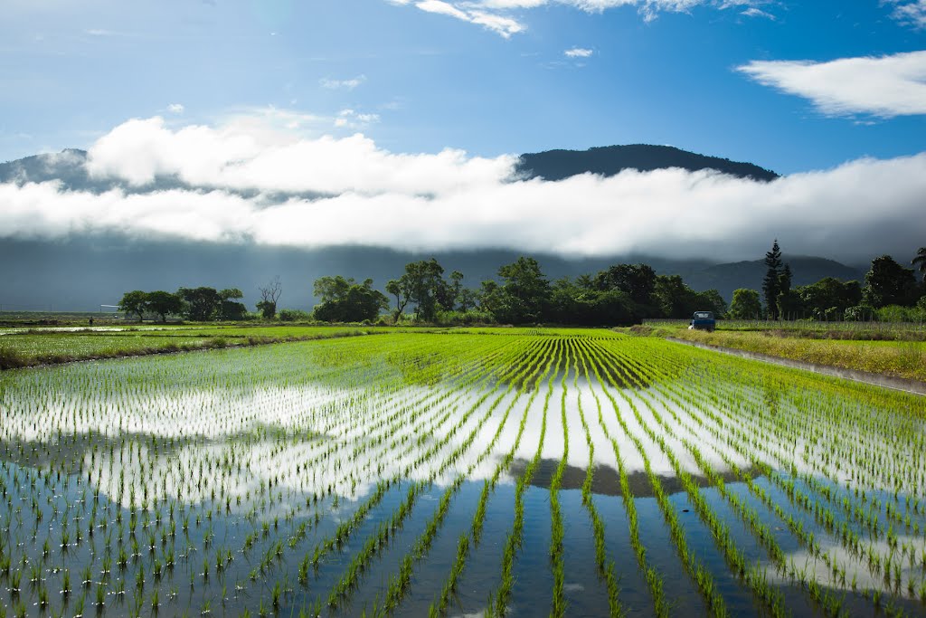 花東縱谷玉里段海岸山脈山嵐 by 平凡。平房 13inn 度假屋